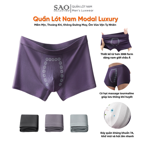 [Bộ 3] Quần Lót Nam Modal Cao Cấp, Mềm Mịn, Thoáng Khí, Không Đường May, Ôm Vừa Vặn Tự Nhiên | QLNZF05