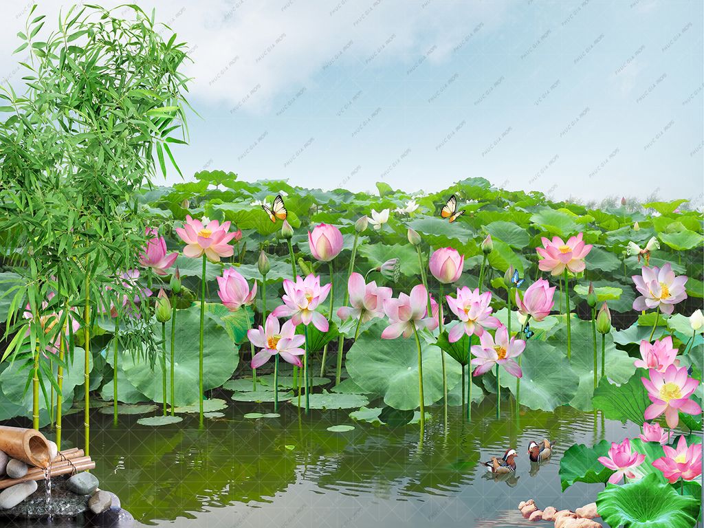  Phông Nền Sinh Nhật - BK719 ( Sen 10) 