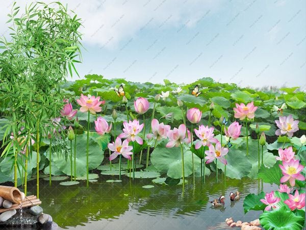  Phông Nền Sinh Nhật - BK719 ( Sen 10) 