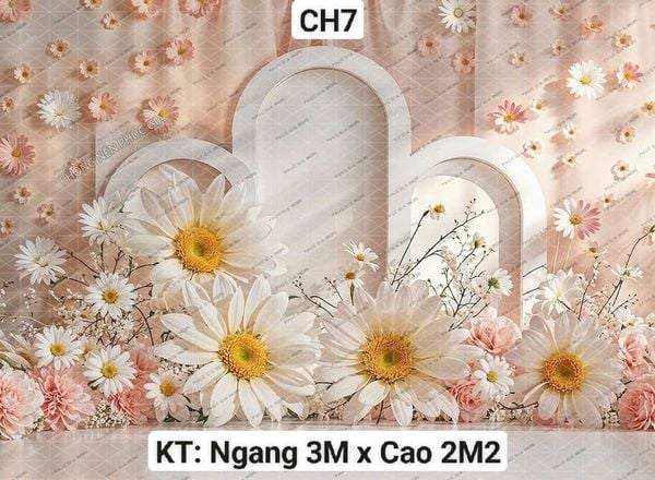  Phông Nền Sinh Nhật KHỔ LỚN - CH7 