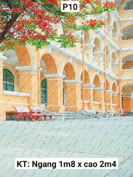  Phông Chụp Kỷ Yếu P10 