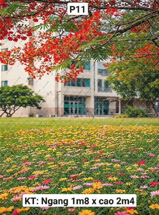  Phông Chụp Kỷ Yếu P11 