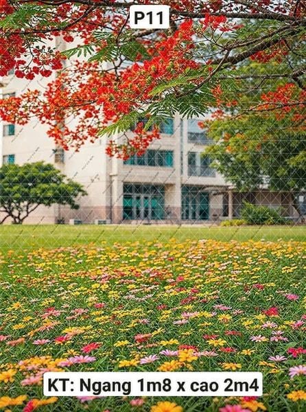  Phông Chụp Kỷ Yếu P11 