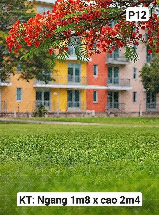  Phông Chụp Kỷ Yếu P12 