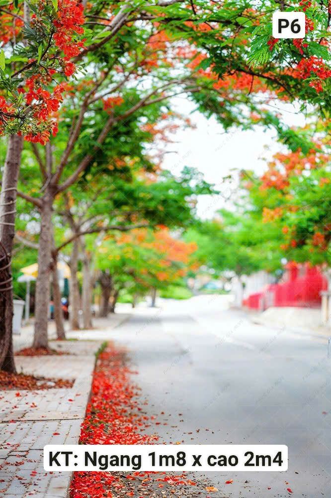  Phông Chụp Kỷ Yếu P6 