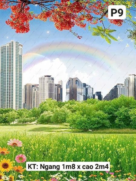  Phông Chụp Kỷ Yếu P9 