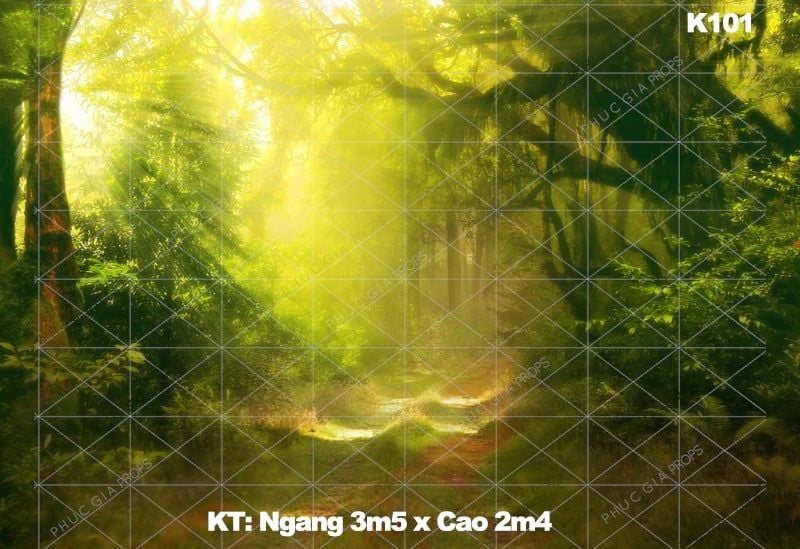 Phông Nền Trang Trí-K101 