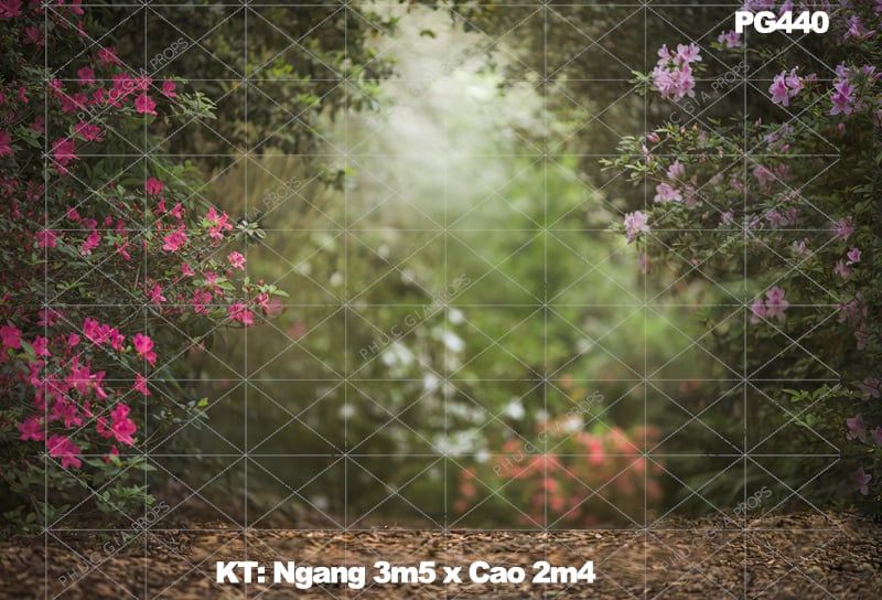  Phông Nền Trang Trí-K440 