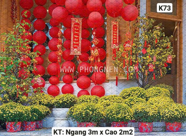  Phông Tết Decor K73 