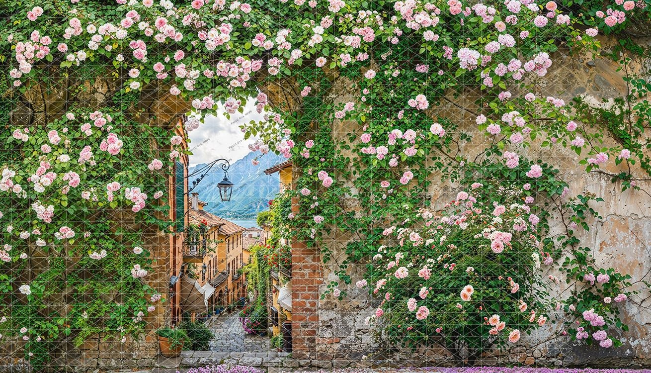  Phông Nền Trang Trí-TƯỜNG HOA 