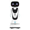 Robot tiếp tân AI Timo, Robot Lễ tân cho nhà hàng ,khách sạn, bệnh viện - Tích hợp AI