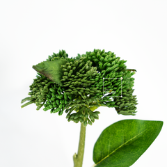Hoa Giả Gel Mềm Hoa Súp Lơ Decor
