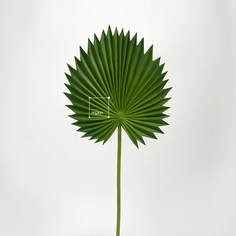 Combo 3 Lá Cọ Sậy Nhựa Decor