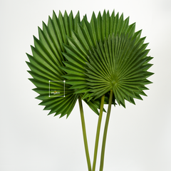 Combo 3 Lá Cọ Sậy Nhựa Decor