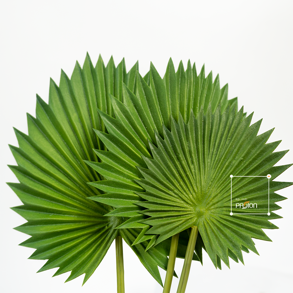 Combo 3 Lá Cọ Sậy Nhựa Decor