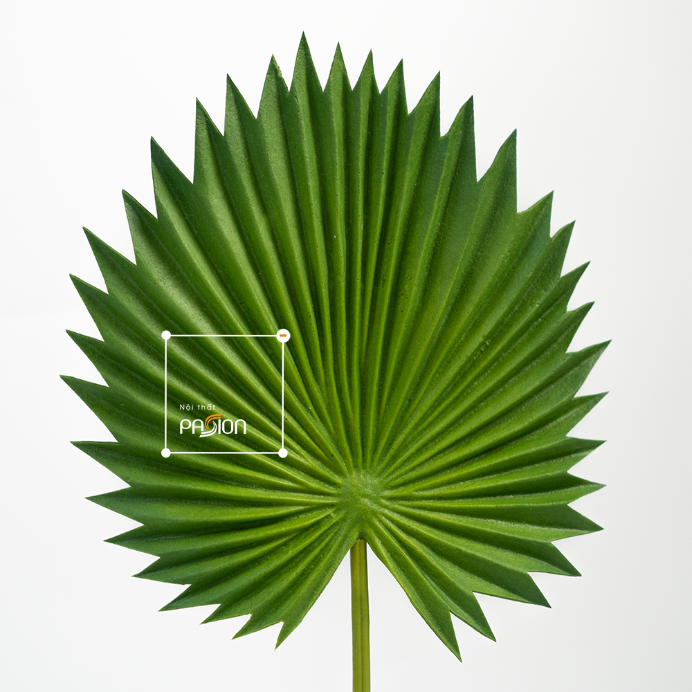 Combo 3 Lá Cọ Sậy Nhựa Decor