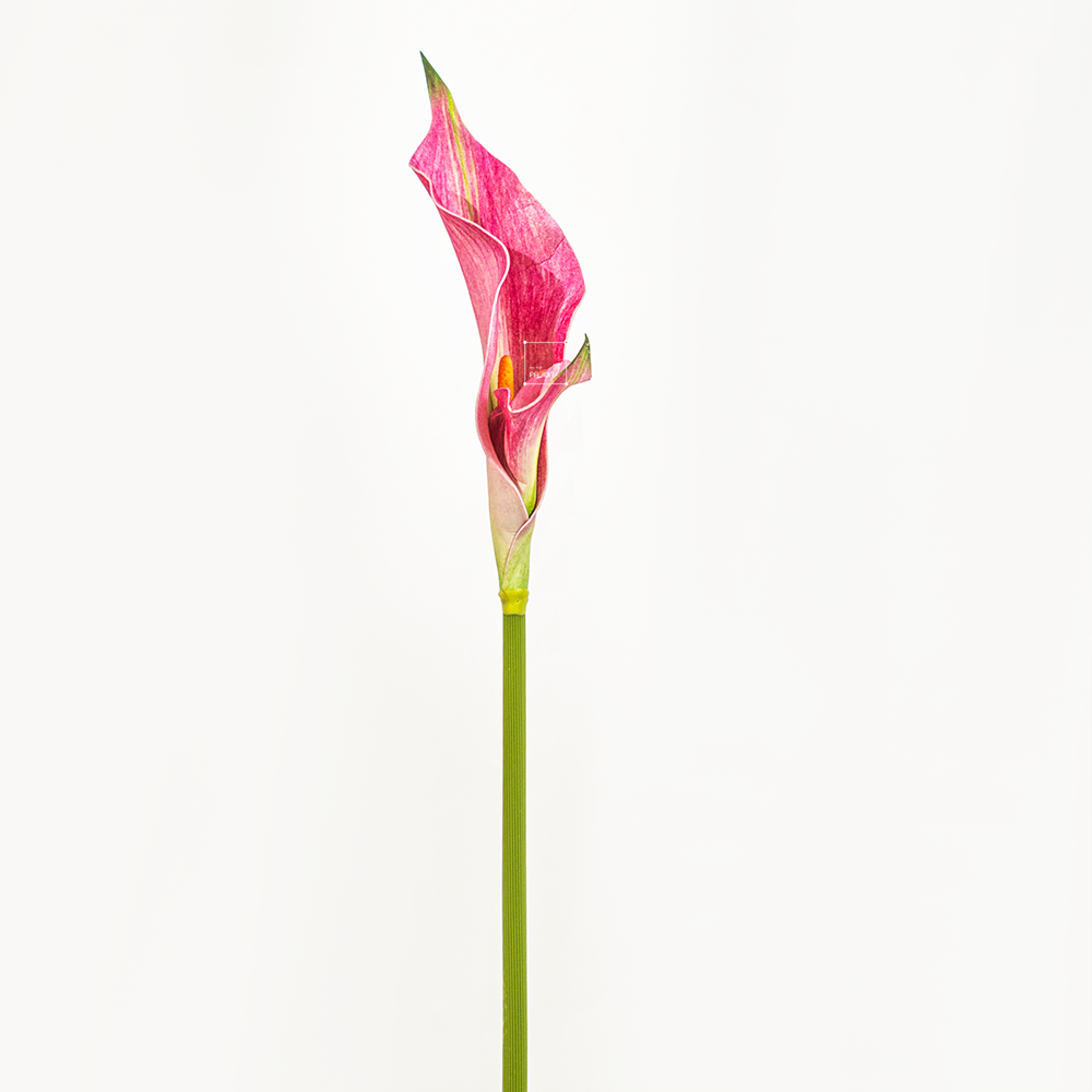 Hoa Giả Decor Hoa Lily EVA Calla Sang Trọng