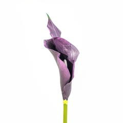 Hoa Giả Decor Hoa Lily EVA Calla Sang Trọng