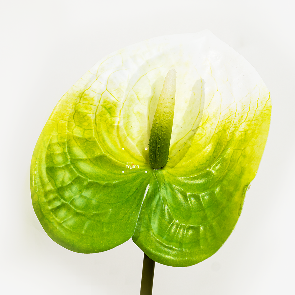 Hoa Môn Giả Anthurium Cành Đơn In 3D Decor Sang Trọng