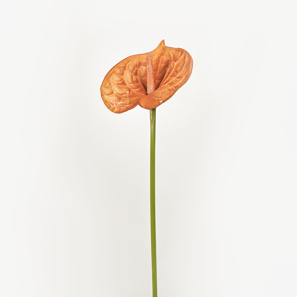 Hoa Môn Giả Anthurium Cành Đơn In 3D Decor Sang Trọng