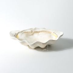 Khay Decor Kiểu Dáng Vỏ Sò Wabi Sabi