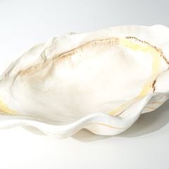 Khay Decor Kiểu Dáng Vỏ Sò Wabi Sabi