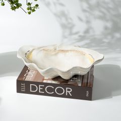 Khay Decor Kiểu Dáng Vỏ Sò Wabi Sabi
