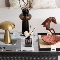 Set Decor Earth & Glow