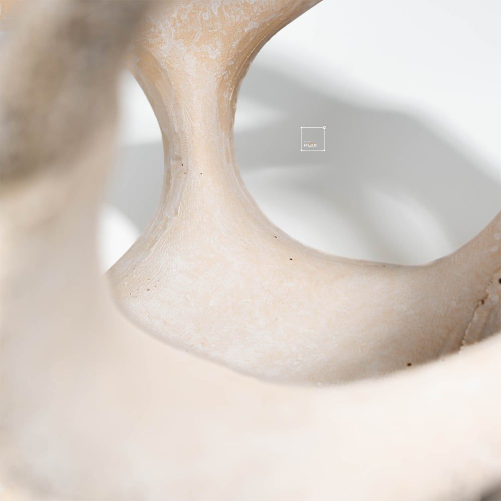 Tượng Trang Trí Hình Cầu Rỗng Phong Cách Wabi Sabi Tối Giản