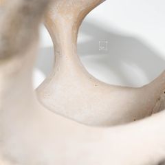 Tượng Trang Trí Hình Cầu Rỗng Phong Cách Wabi Sabi Tối Giản