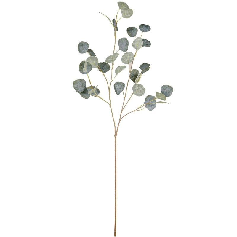 Lá Bạch Đàn Cánh Tròn Decor