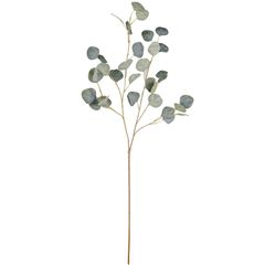 Lá Bạch Đàn Cánh Tròn Decor