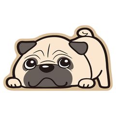 Thảm Da Diatomaceous Hoạt Hình Chống Trơn Trượt