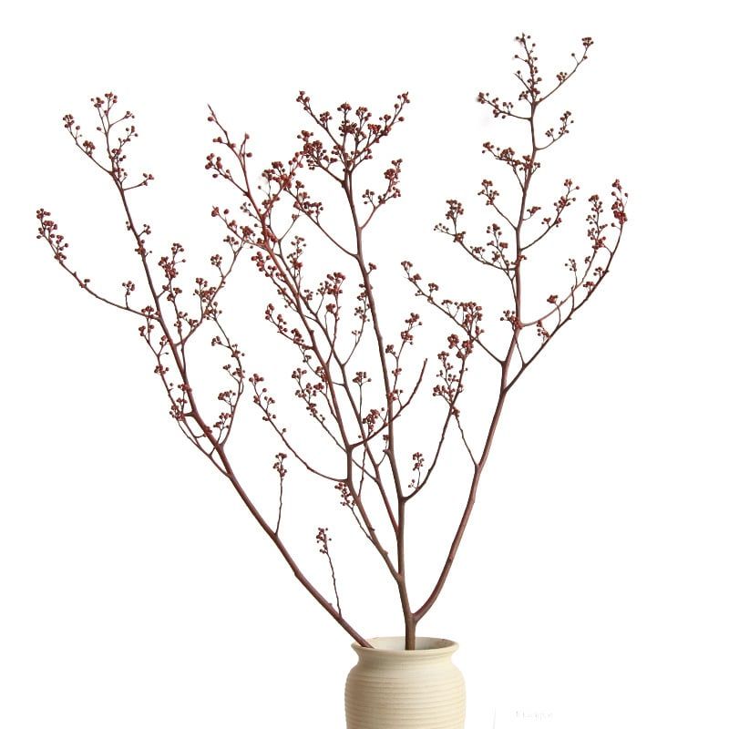 Cành Eucalyptus Hoa Khô Tự Nhiên Phong Cách Wabi Sabi