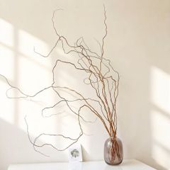 Cành Liễu Rồng Vàng Xoắn Tự Nhiên - Phụ Kiện Decor Studio Cao Cấp