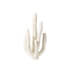 Tượng Decor Xương Rồng San Hô Wabi-Sabi Trang trí Phòng Khách