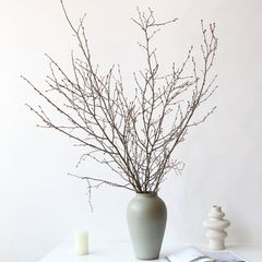Cành Mộc Lan Khô Trang Trí Bình Dáng Cao