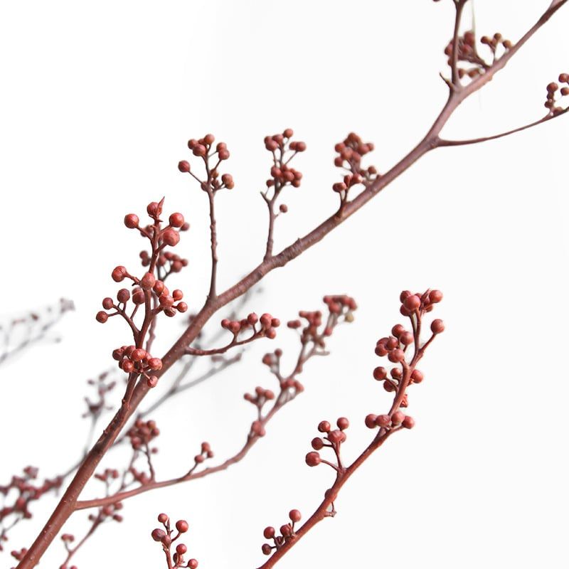 Cành Eucalyptus Hoa Khô Tự Nhiên Phong Cách Wabi Sabi