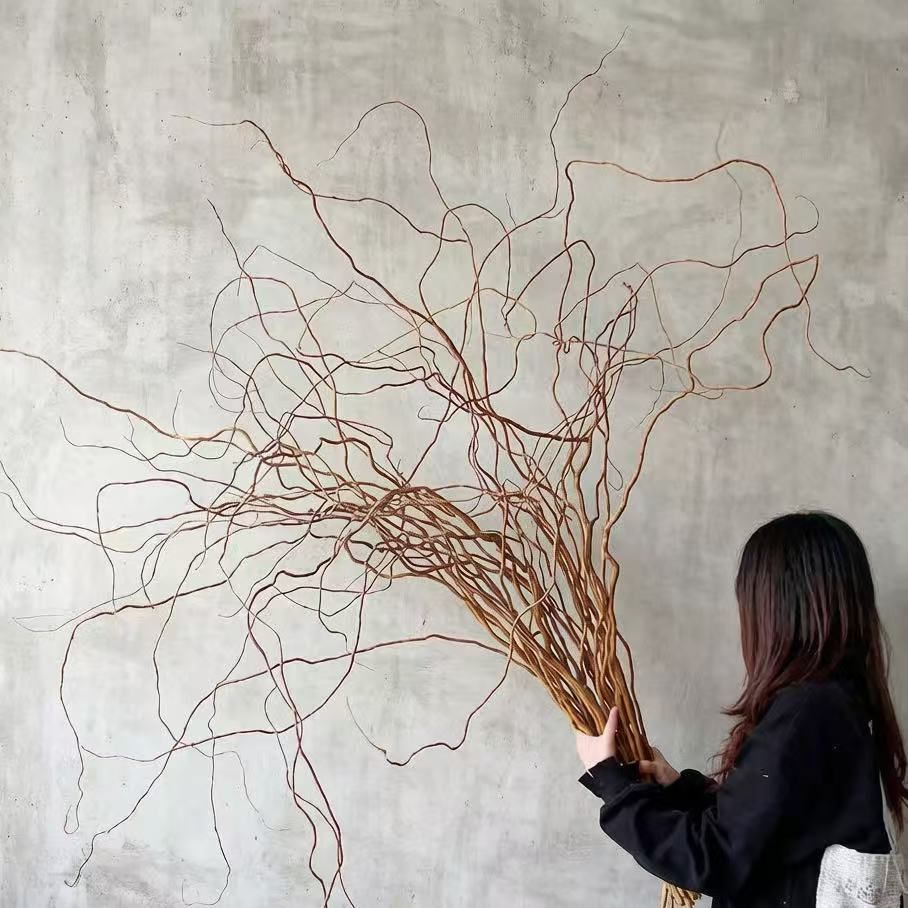 Cành Liễu Rồng Vàng Xoắn Tự Nhiên - Phụ Kiện Decor Studio Cao Cấp