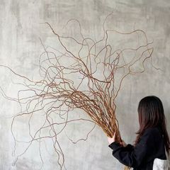 Cành Liễu Rồng Vàng Xoắn Tự Nhiên - Phụ Kiện Decor Studio Cao Cấp