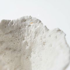 Tượng San Hô Trang Trí Tủ Kệ
