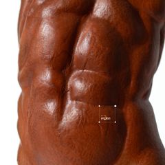 Tượng Trang Trí Biểu Trưng Sức Mạnh Hình Nam Thần Nghệ Thuật