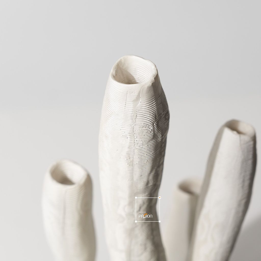 Tượng Decor Xương Rồng San Hô Wabi-Sabi Trang trí Phòng Khách