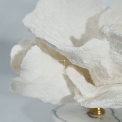 Tượng San Hô Trang Trí Tủ Kệ