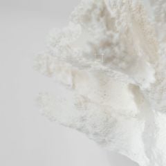 Tượng San Hô Trang Trí Tủ Kệ