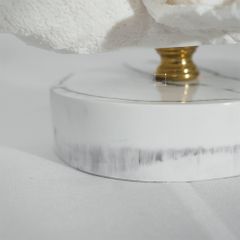 Tượng San Hô Trang Trí Tủ Kệ