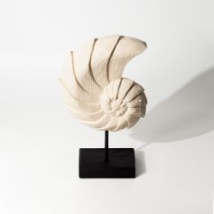 Tượng Trang Trí Hình Vỏ Sò Xoắn Ốc Wabi Sabi