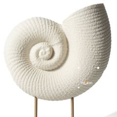 Tượng Decor Vỏ Sò Phong Cách Wabi Sabi