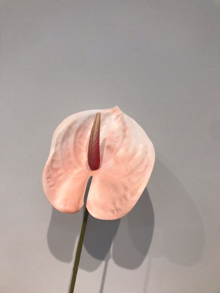Cành Hoa Hồng Môn Anthurium