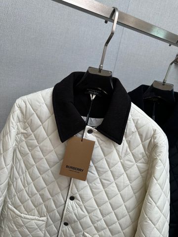 ÁO KHOÁC NAM BB CHẦN BÔNG QUÝT KIM CỔ DỆT GÂN TƯƠNG PHẢN